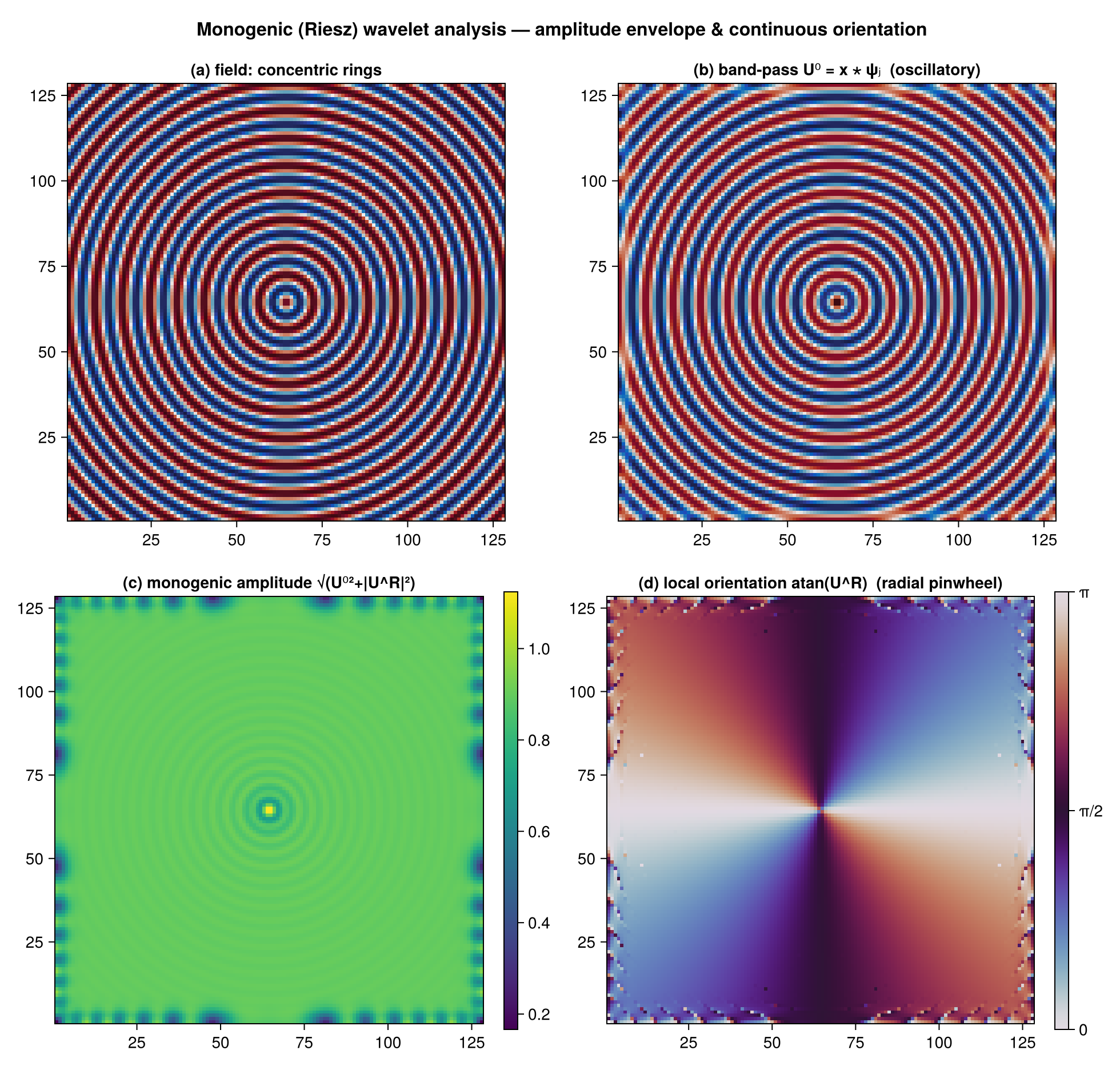 Monogenic analysis